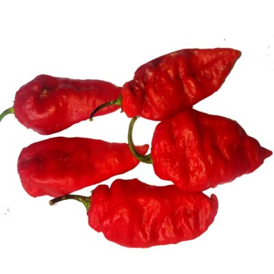 Chilli Big | Thondan Chilli | Thondan Mulaku | Sambar Mulaku @ 25₹