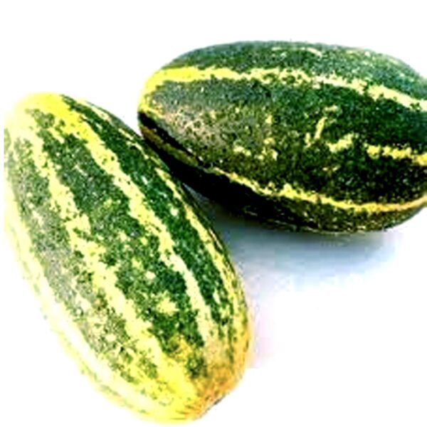 Cucumber (സാംബാർ വെള്ളരി ) - Image 2