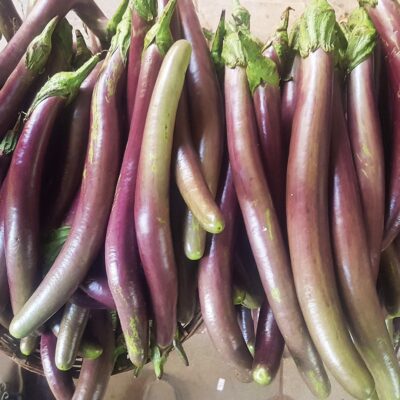 Buy Vengeri Vazhuthana Seeds Online ₹25, Brinjal Violet Long High Yield, Indian Eggplant Seeds, Long Purple Brinjal Cultivation, Vegetable Seeds for Curry, Anugraha's Seed World Best Seeds.