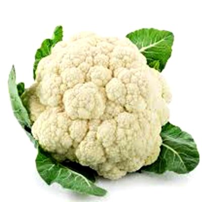 Compact snow-white cauliflower head with green leaves from www.anigrahasseedsworld.in