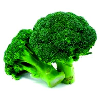 "Two fresh, vibrant green broccoli heads with thick stalks, grown from Anugraha Seeds World hand-picked high growth rate vegetable seeds in airtight packaging."